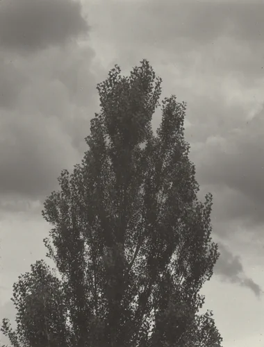 Portrait—K.N.R., No. 4 or Songs of the Sky C4 by Alfred Stieglitz, photograph, 1923