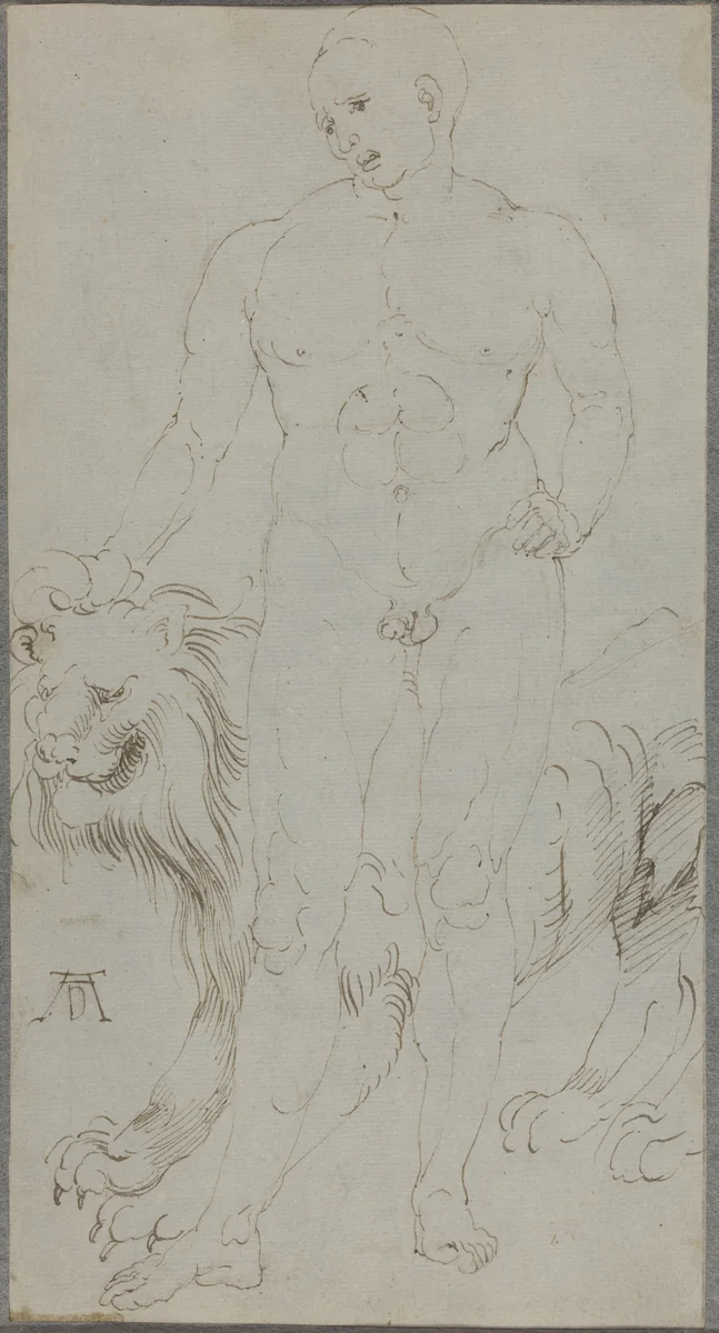 Male Nude with a Lion [verso] by Albrecht Dürer, drawing, 1500