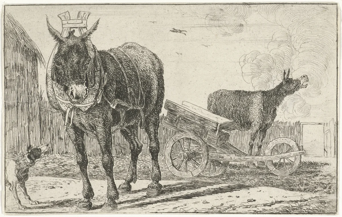 Twee ezels by Jan van den Hecke, print, 1656