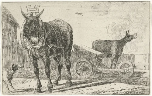 Twee ezels by Jan van den Hecke, print, 1656