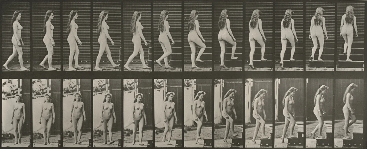 Plate Number 99. Turning and ascending stairs by Eadweard Muybridge, photograph, 1887