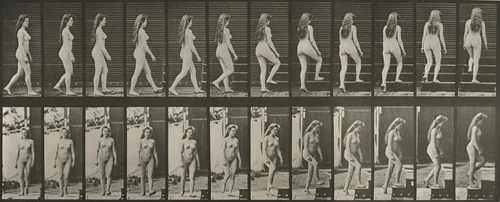 Plate Number 99. Turning and ascending stairs by Eadweard Muybridge, photograph, 1887