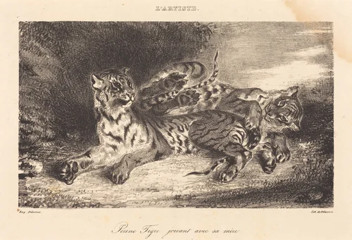 Young Tiger Playing with its Mother (Jeune tigre jouant avec sa mère) by Eugène Delacroix, print, 1831