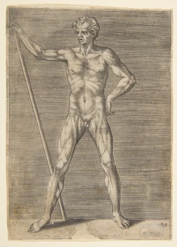 Flayed man seen from in front, holding a stick by Giulio Bonasone, print, 1526-1536