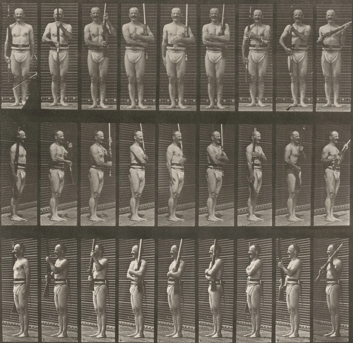 Plate Number 353. "Support arms" and "arms port" by Eadweard Muybridge, photograph, 1887
