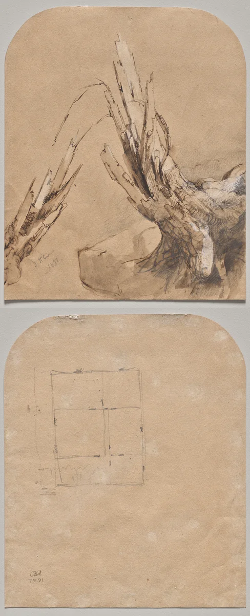 A Blasted Tree (recto) Floorplan (verso) by Jasper Cropsey, drawing, 1851