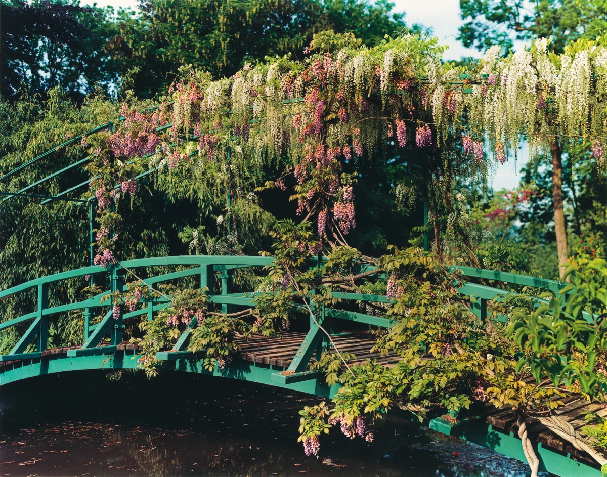 Plate III by Stephen Shore, photograph, 1982