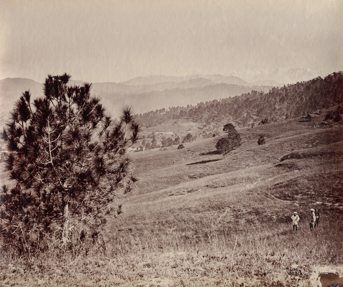 Landscape with Tree and Three Men, India by John Edward Saché, photograph, 1869