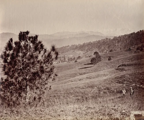 Landscape with Tree and Three Men, India by John Edward Saché, photograph, 1869
