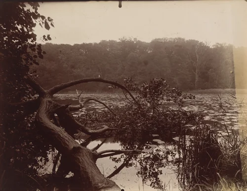 Saint-Cucufa by Eugène Atget, photograph, 1925