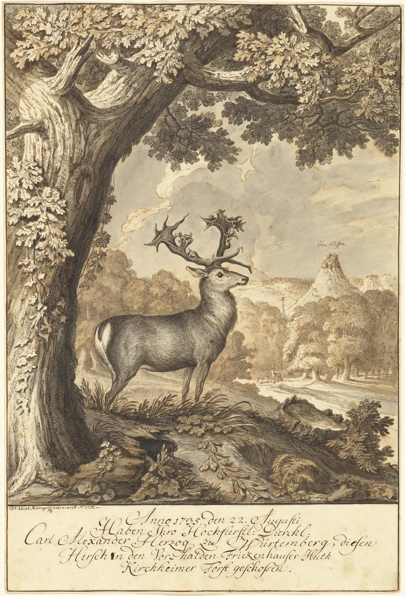 A Stag beneath a Mighty Oak by Johann Elias Ridinger, drawing, 1735