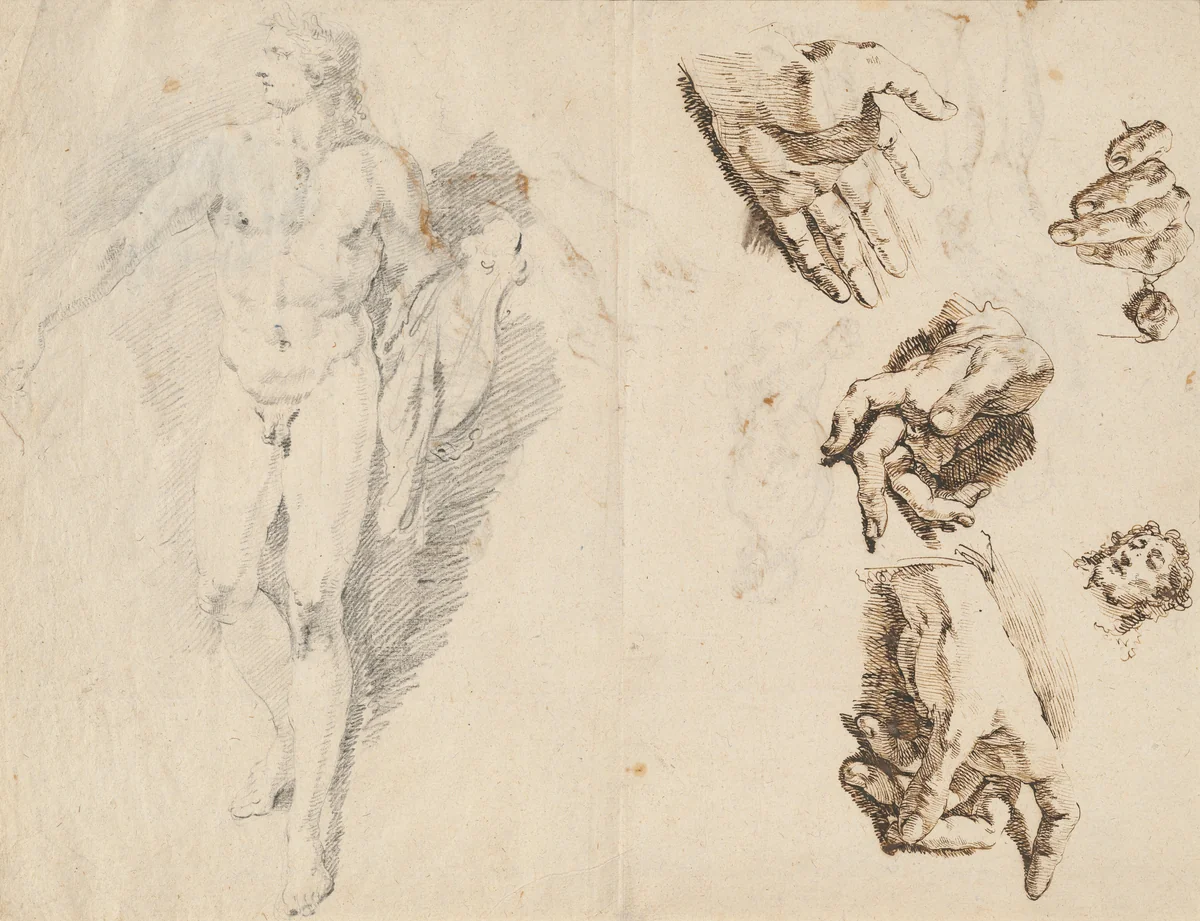 Apollo and Studies of the Artist's Own Hand [recto] by Francesco Fontebasso, drawing, 1730-1732