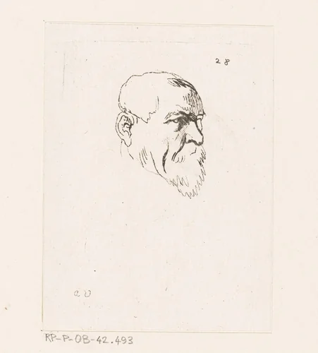 Hoofd van een man met baard by Anne Claude Philippe Caylus, print, 1735