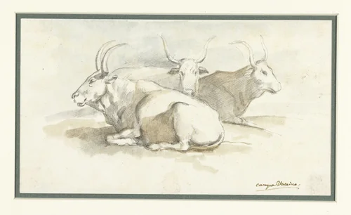 Drie buffels op het Forum liggende by Etienne de Lavallée-Poussin, drawing, 1750-1793
