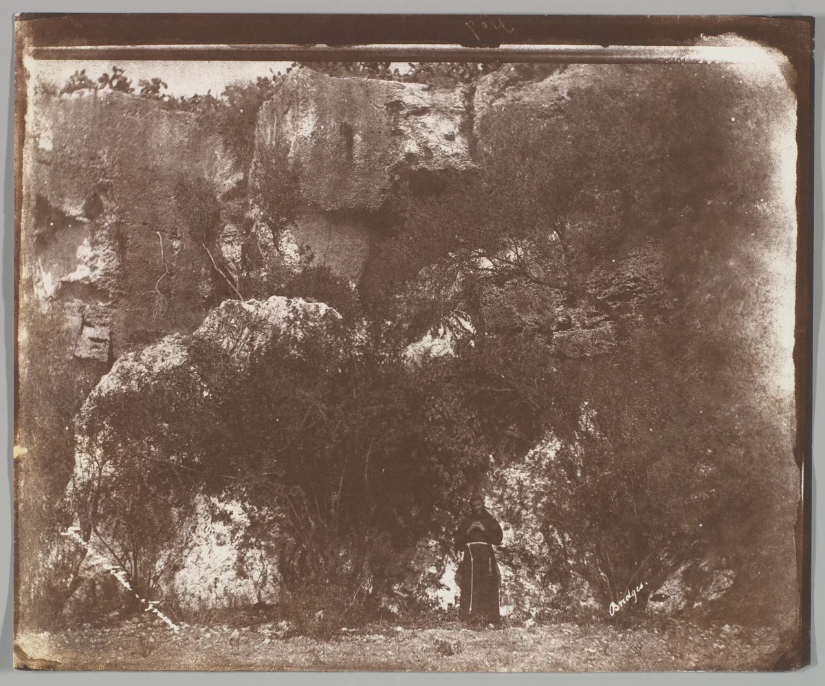 Garden of Selvia, Syracuse, Sicily by George Wilson Bridges, photograph, 1846
