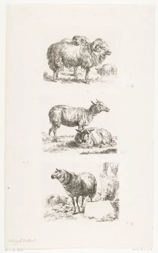 Rammen en schapen by anonymous, print, 1648-1733