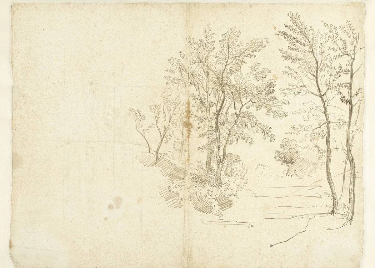 Group of Trees in the Roman Campagna by Caspar van Wittel, drawing, 1674-1736