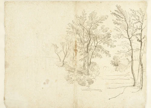 Group of Trees in the Roman Campagna by Caspar van Wittel, drawing, 1674-1736