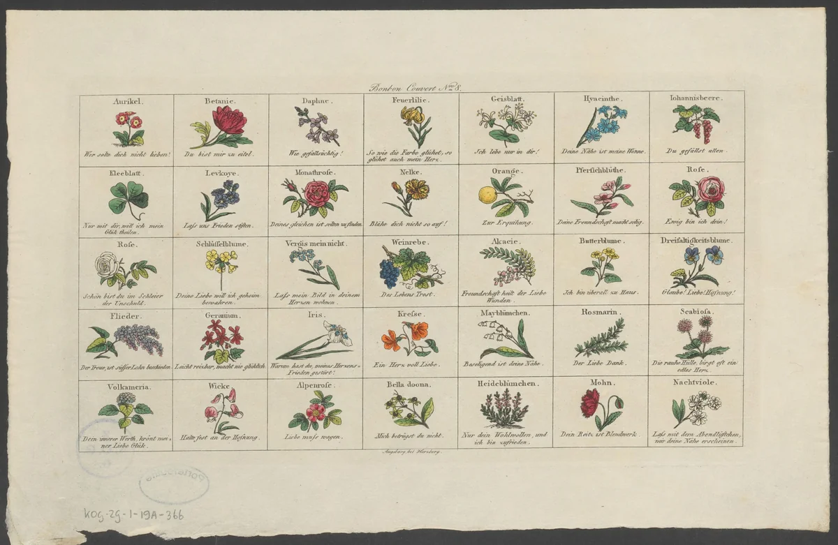 Bloemen, kruiden en een sinaasappel by anonymous, print, 1801-1850