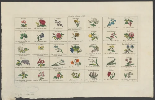 Bloemen, kruiden en een sinaasappel by anonymous, print, 1801-1850