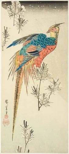 A Golden Pheasant Perched on a Steep Snowy Hillside amid Small Pine Saplings by Utagawa Hiroshige (歌川広重), print, 1828-1838