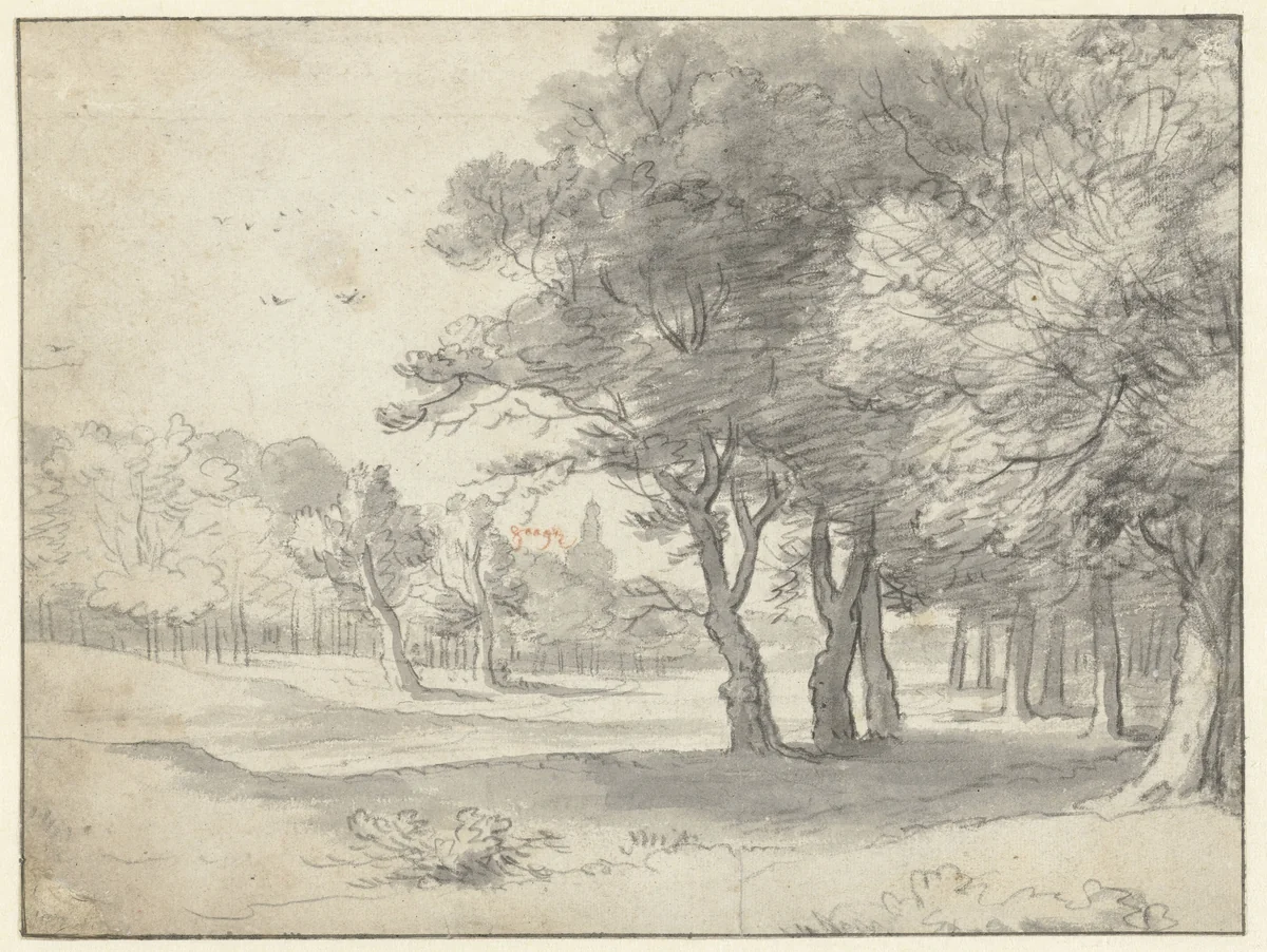 View in the Haagse Bos, with the Grote Kerk, The Hague, in the Distance by Roelant Roghman, drawing, 1650
