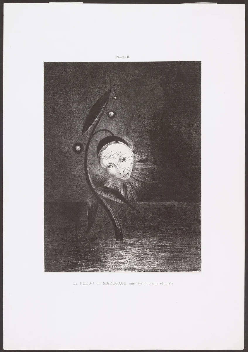 The Marsh Flower, a Sad Human Head (La Fleur du marécage, une tête humaine et triste) from Homage to Goya (Hommage à Goya) by Odilon Redon, print, 1885