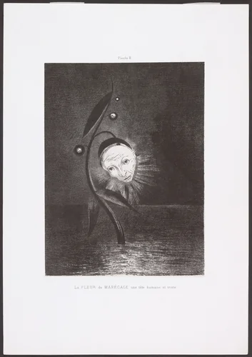 The Marsh Flower, a Sad Human Head (La Fleur du marécage, une tête humaine et triste) from Homage to Goya (Hommage à Goya) by Odilon Redon, print, 1885