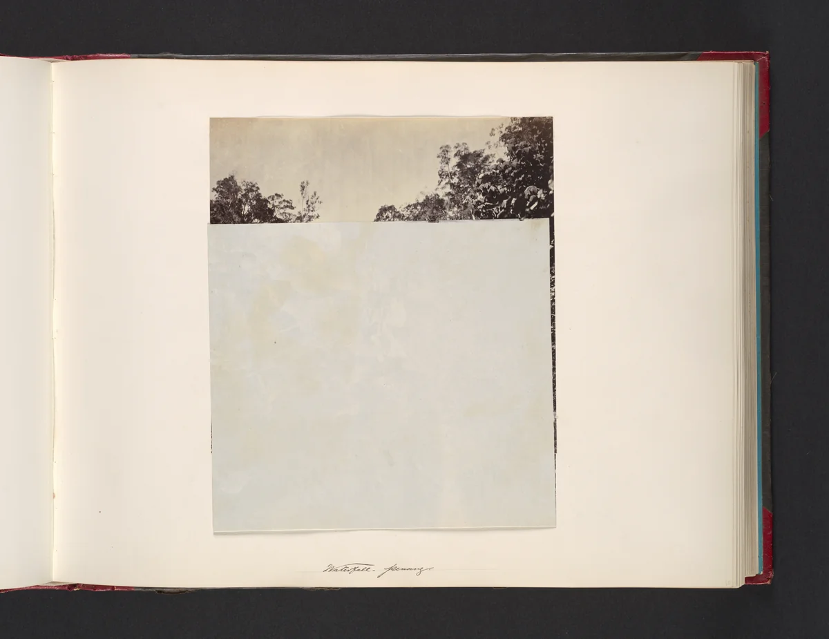 Waterfall, Penang by John Thomson, photograph, 1865