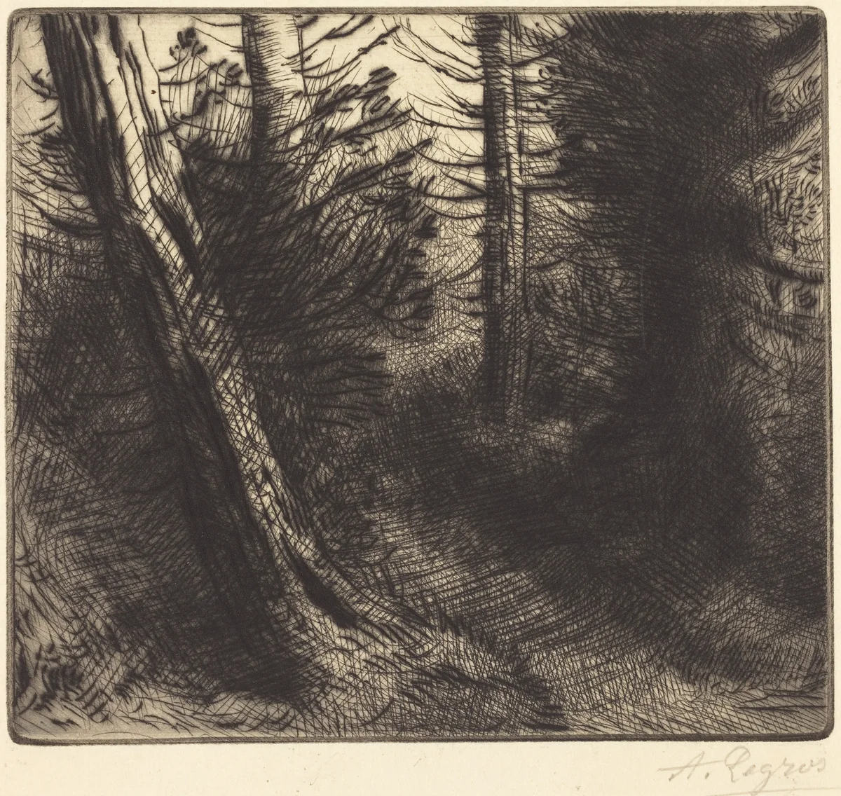 Path through the Woods (Sentier sous bois) by Alphonse Legros, print, 1837-1911