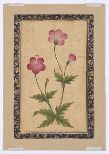 Botanical Painting: Composite Flower by Unknown Artist, manuscript, 1605-1655