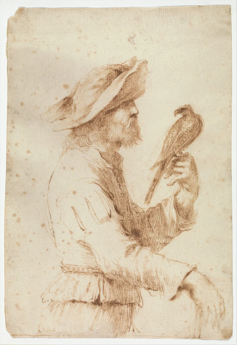 A Falconer in Profile to the Right by Guercino, drawing, 1637-1643