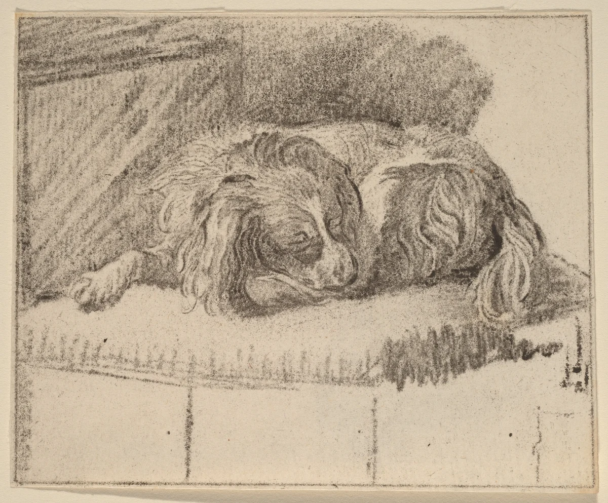 Lying Dog by Cornelis Ploos van Amstel; Cornelis Brouwer; Frans van Mieris, print, 1777