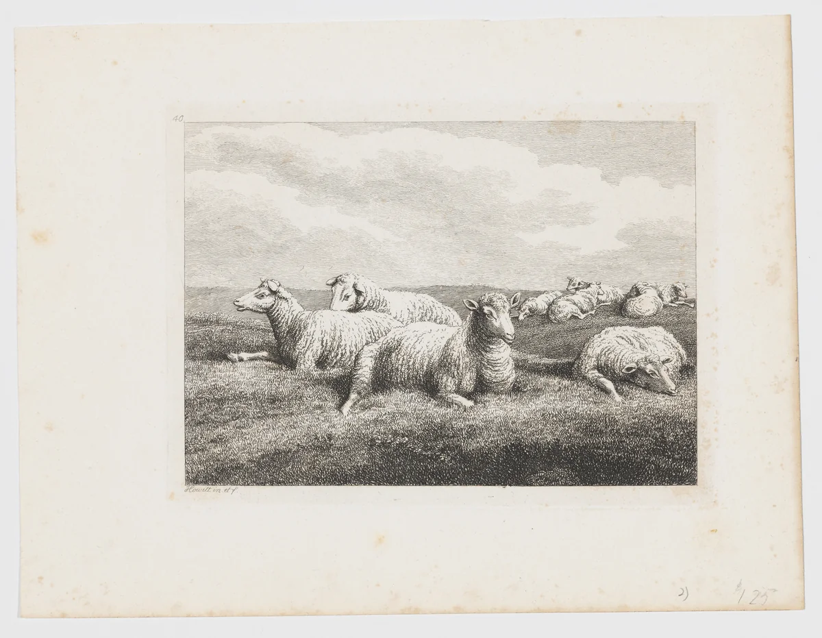 Sheep by Samuel Howitt, print, 1795-1805