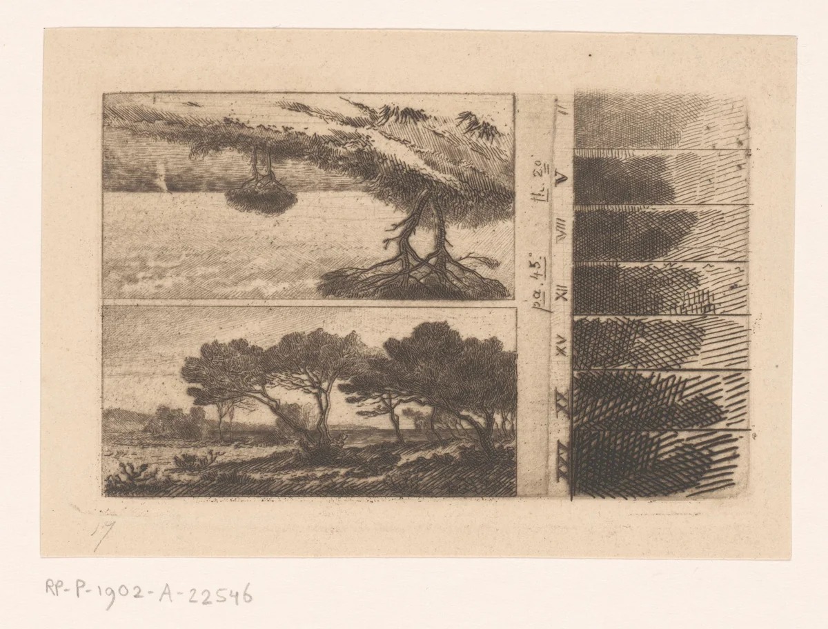 Twee voorstellingen van pijnbomen aan de kust en zeven etsproeven by Carel Nicolaas Storm van 's-Gravesande, print, 1872