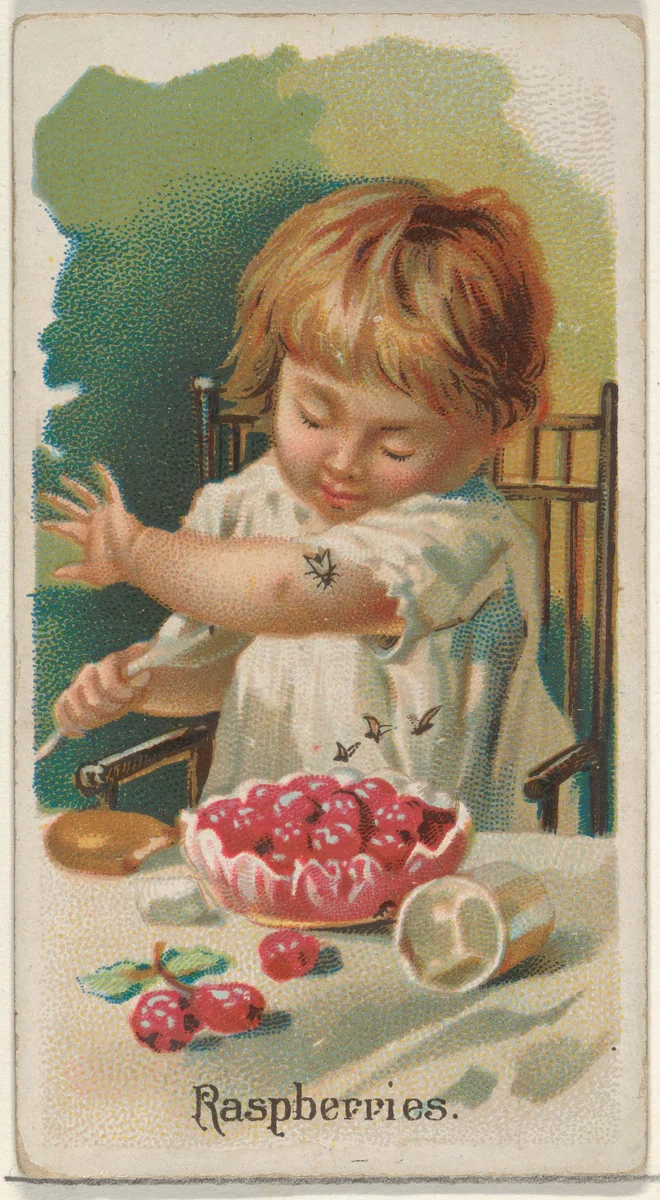 Raspberries, from the Fruits series (N12) for Allen & Ginter Cigarettes Brands by Allen & Ginter, print, 1891