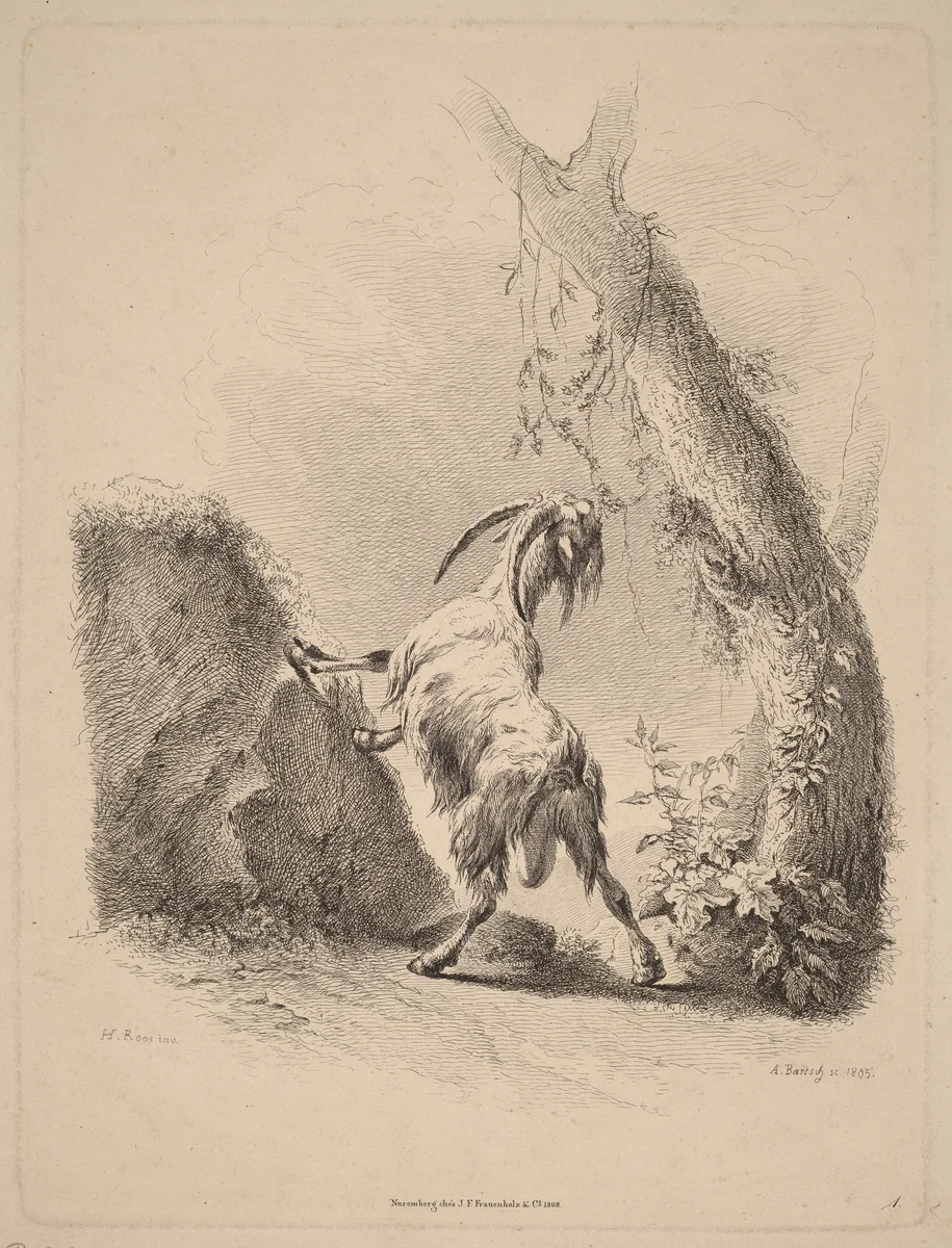 Goat in a Landscape by Adam von Bartsch, print, 1805