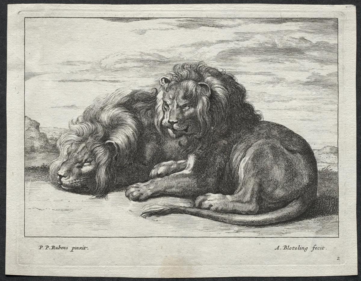 Various Lions by Abraham Blooteling, print, 1655-1690