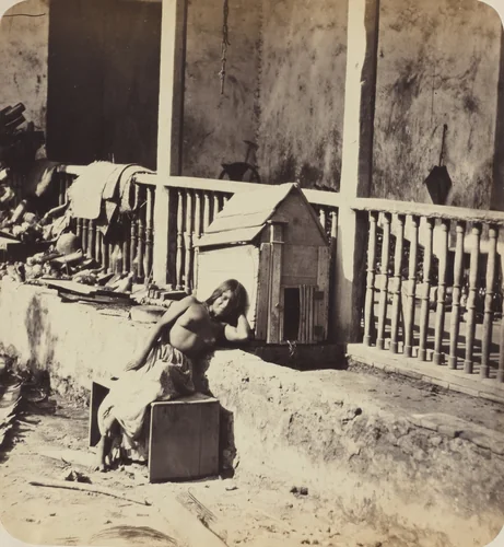 Chien de Garvel (Martinique) by Paul Emile Miot, photograph, 1870-1879