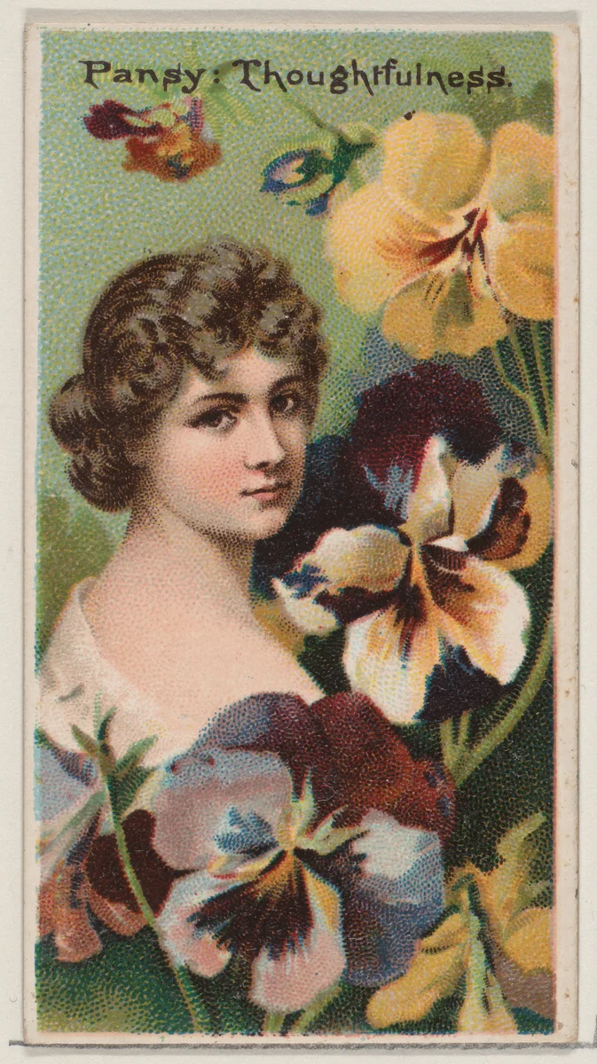 Pansy: Thoughtfulness, from the series Floral Beauties and Language of Flowers (N75) for Duke brand cigarettes by American Tobacco Company, print, 1892