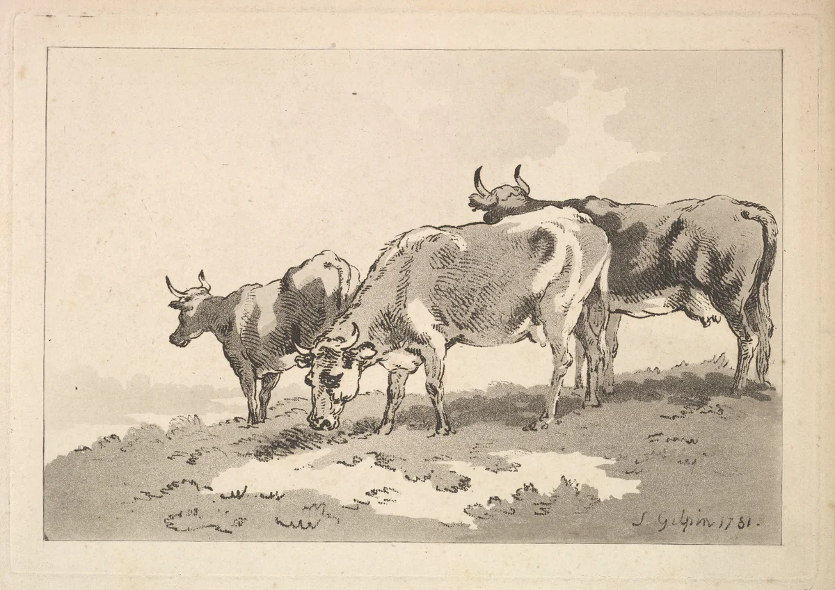 Three Cows Standing on the Ridge of a Field by Thomas Rowlandson, print, 1784-1787
