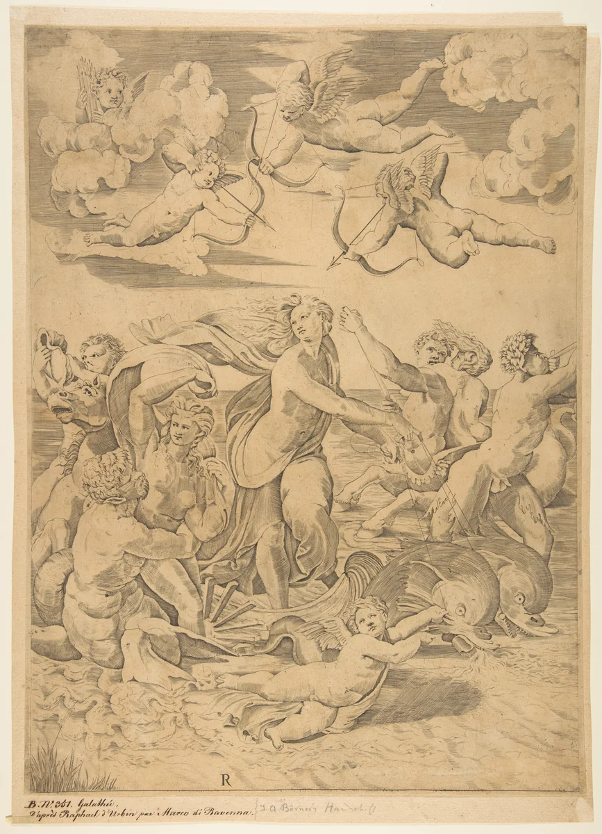 Galatea riding in a shell pulled through the water by dolphins, a cupid below and four more above, at left a triton embracing a nymph and behind them a man on horseback blowing a conch, at right a figure blowing a horn and behind him a nymph riding on a centaur by Marco Dente, print, 1510-1532