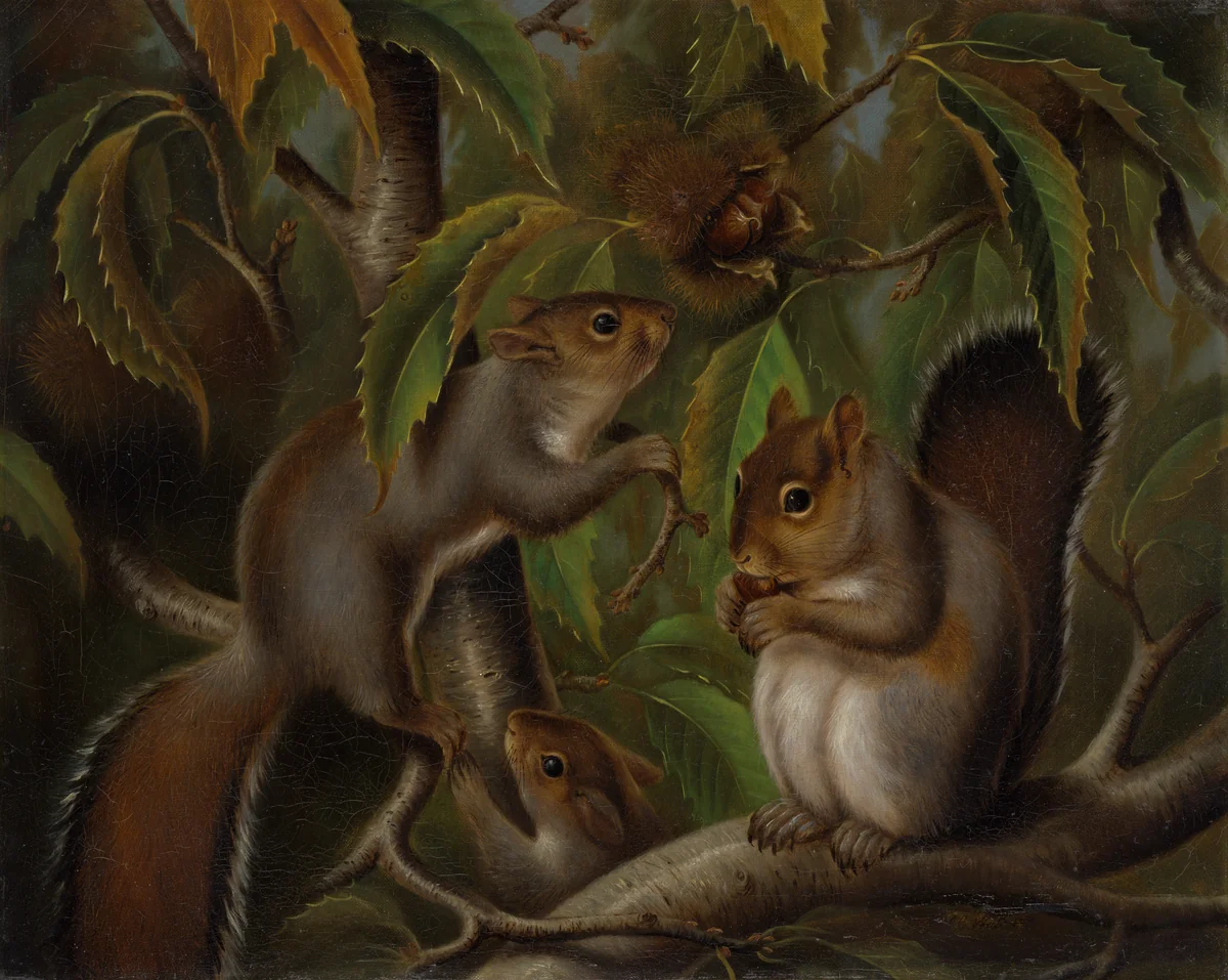 Untitled (Squirrels in a Chestnut Tree) by Susan Catherine Moore Waters, artwork, 1870-1880