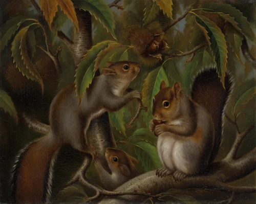 Untitled (Squirrels in a Chestnut Tree) by Susan Catherine Moore Waters, artwork, 1870-1880