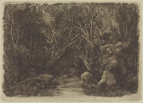 The Brook in the Woods by Rodolphe Bresdin, print, 1880
