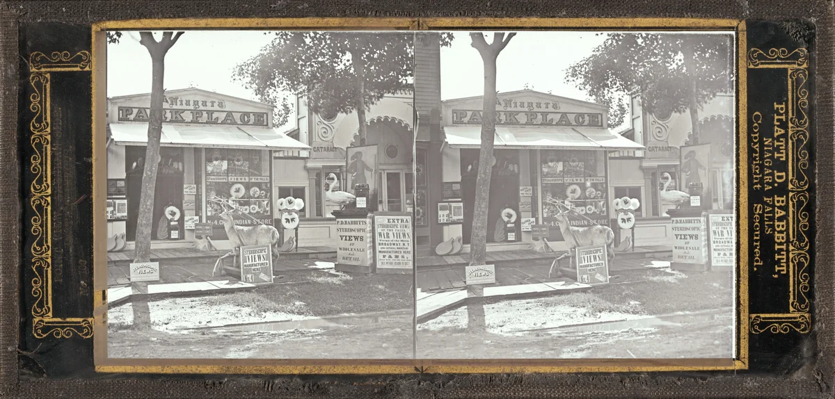 Niagara Falls by Platt D. Babbitt, photograph, 1855-1865