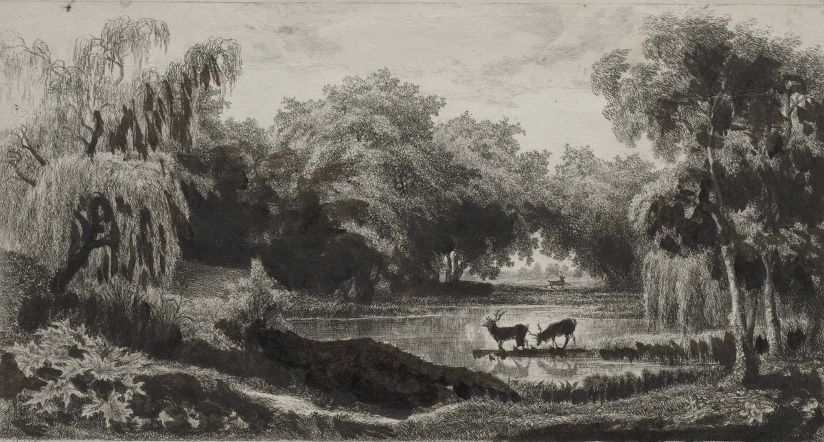 The Pool with Stags by Charles-François Daubigny, print, 1845