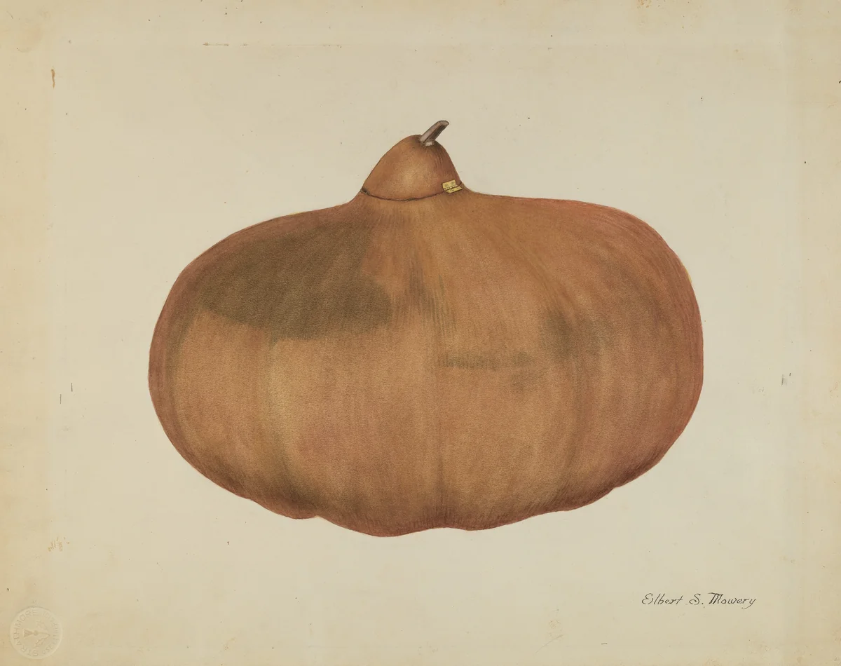 Pioneer Salt Gourd by Elbert S. Mowery, index of american design, 1935-1942