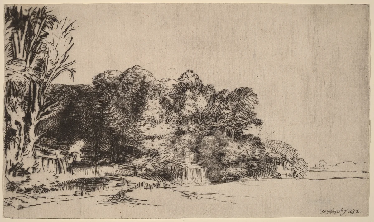 Clump of Trees with a Vista by Rembrandt van Rijn, print, 1652