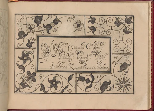 Ghirlanda: Di sei vaghi fiori scielti da piu famosi Giardini d'Italia, page 41 (recto) by Pietro Paulo Tozzi, book, 1604